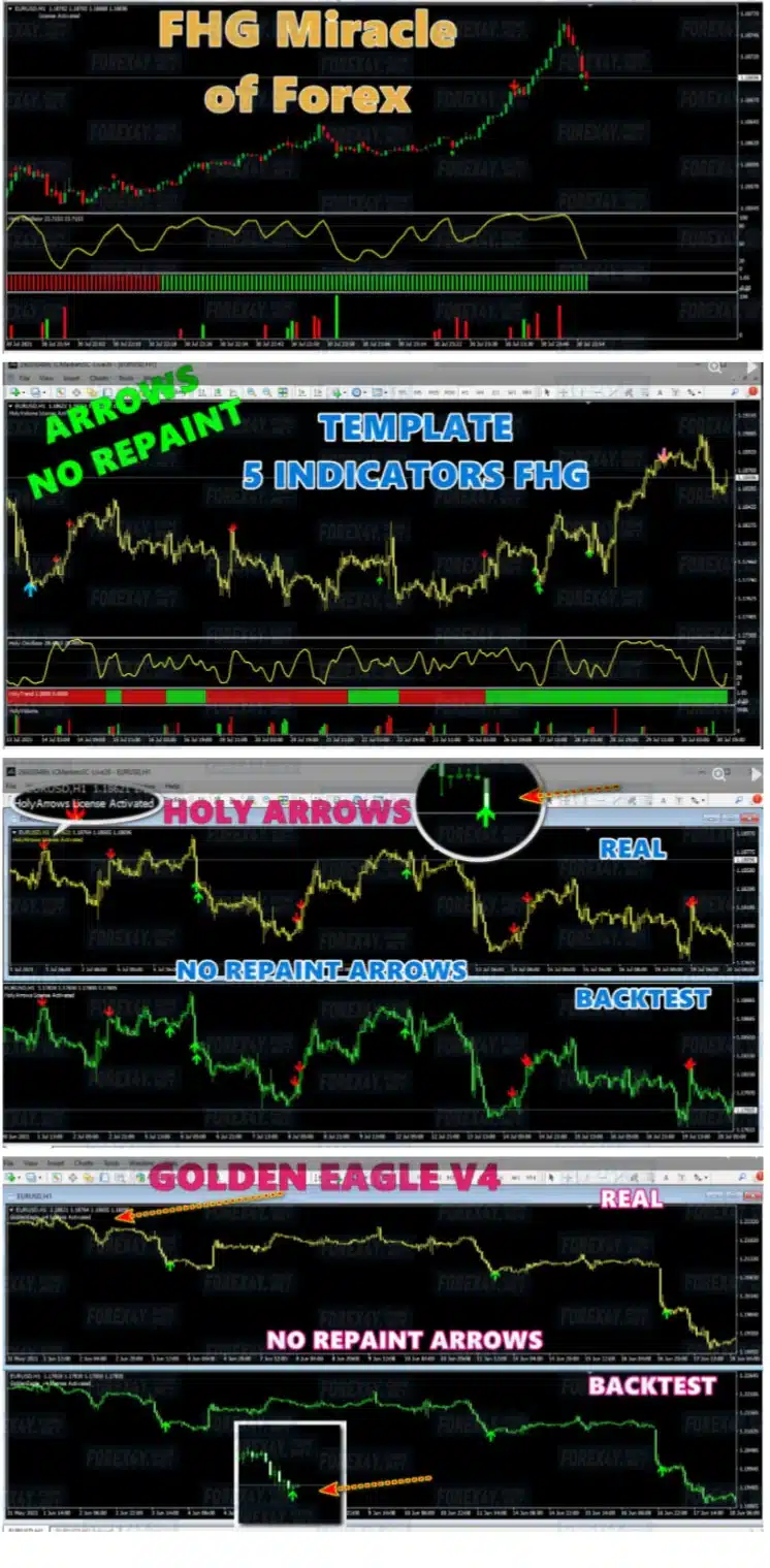Forex Holy Grail: Miracle of Forex