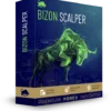 Bizon Scalper Indicator