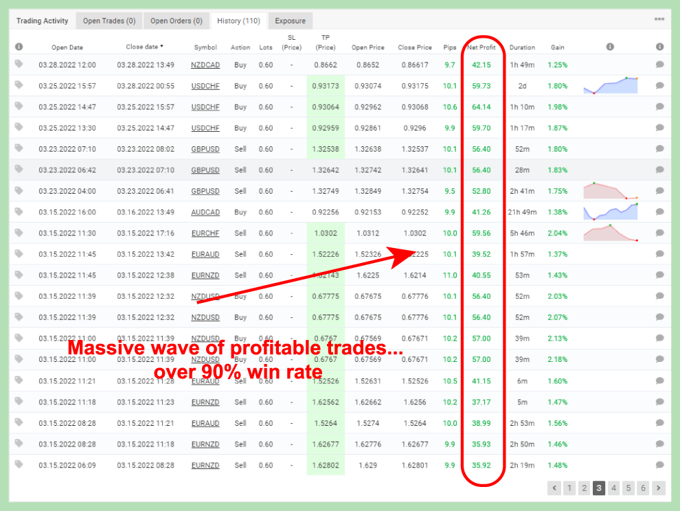 The Money Tree EA Live Performance with a 90 Percent Win Rate