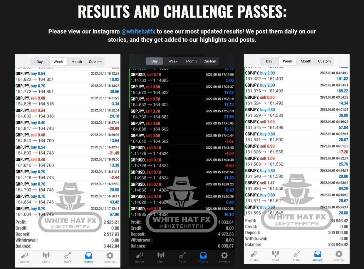 White Hat FX EA MT5 Customer Results