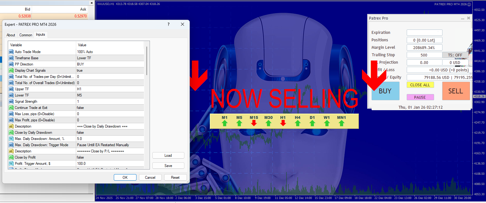 Patrex Pro EA On the Chart