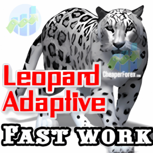 Leopard Adaptive EA Logo