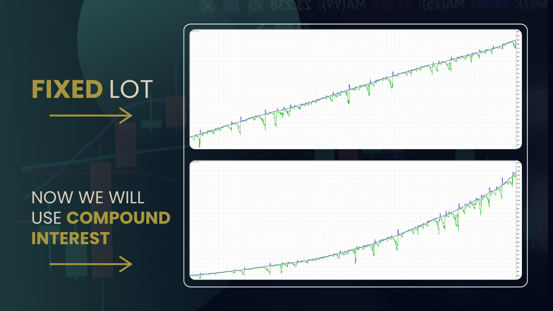 Nexus EA Forex MT5 Fixed vs Adaptive Lot