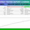 Cherma EA MT4 Backtest Report for XAUUSD August 2024 to July 2025