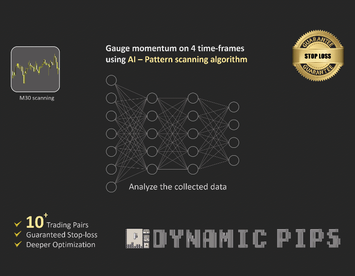 Dynamic Pips Key Features