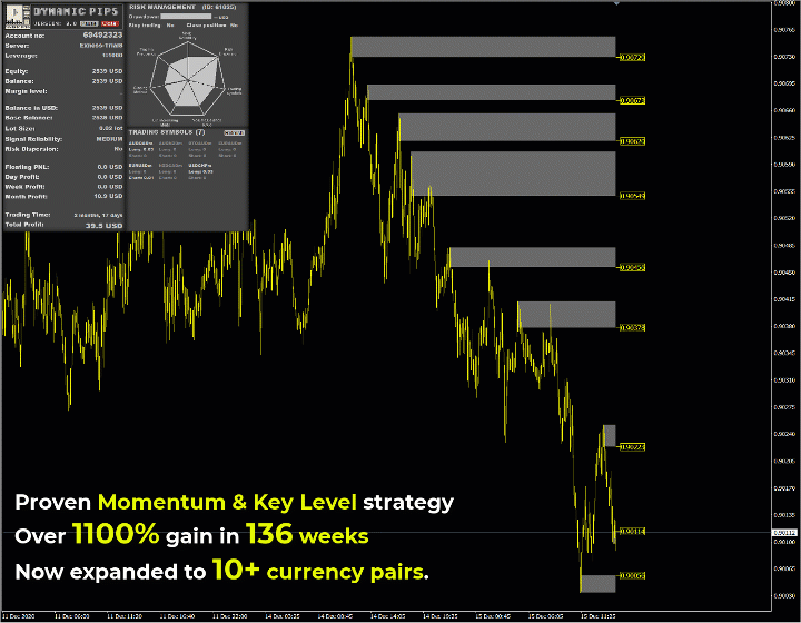 Dynamic Pips Visual of the EA on the Chart