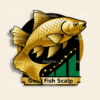Gold Fish Scalp EA Product Image Logo