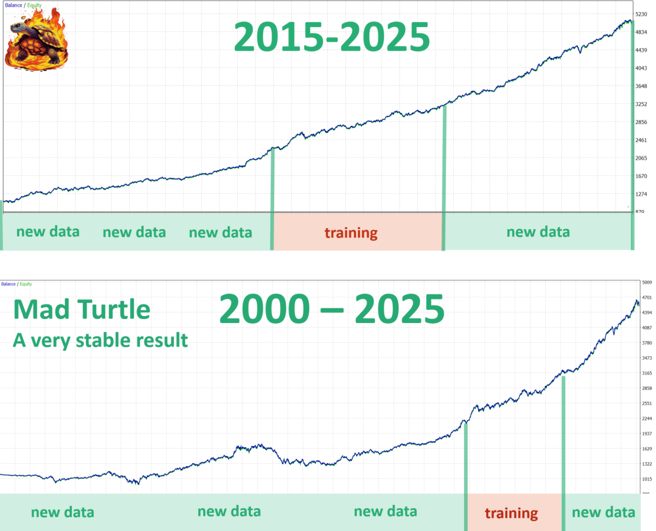 Mad Turtle EA New Data and Training Mad Turtle EA New Data and Training