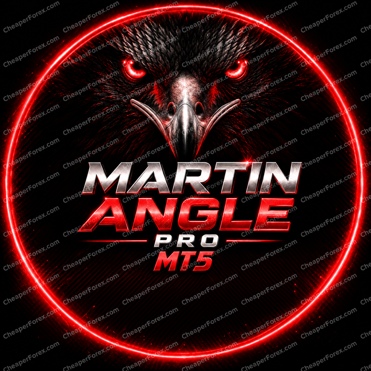 Martin Angle Pro MT5 promotional cover