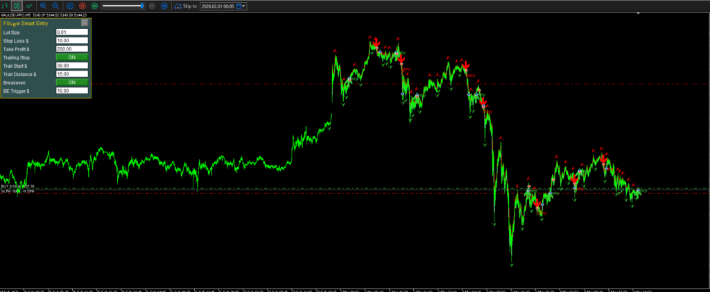 FXCOW Smart Entry M5 strategy tester interface