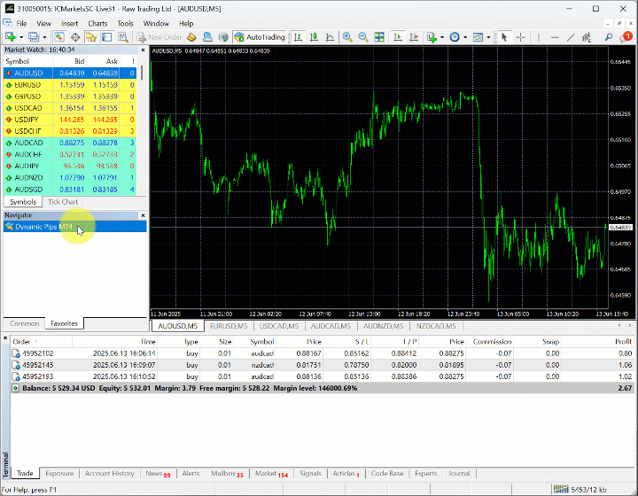 Dynamic Pips original MT4 setup animation