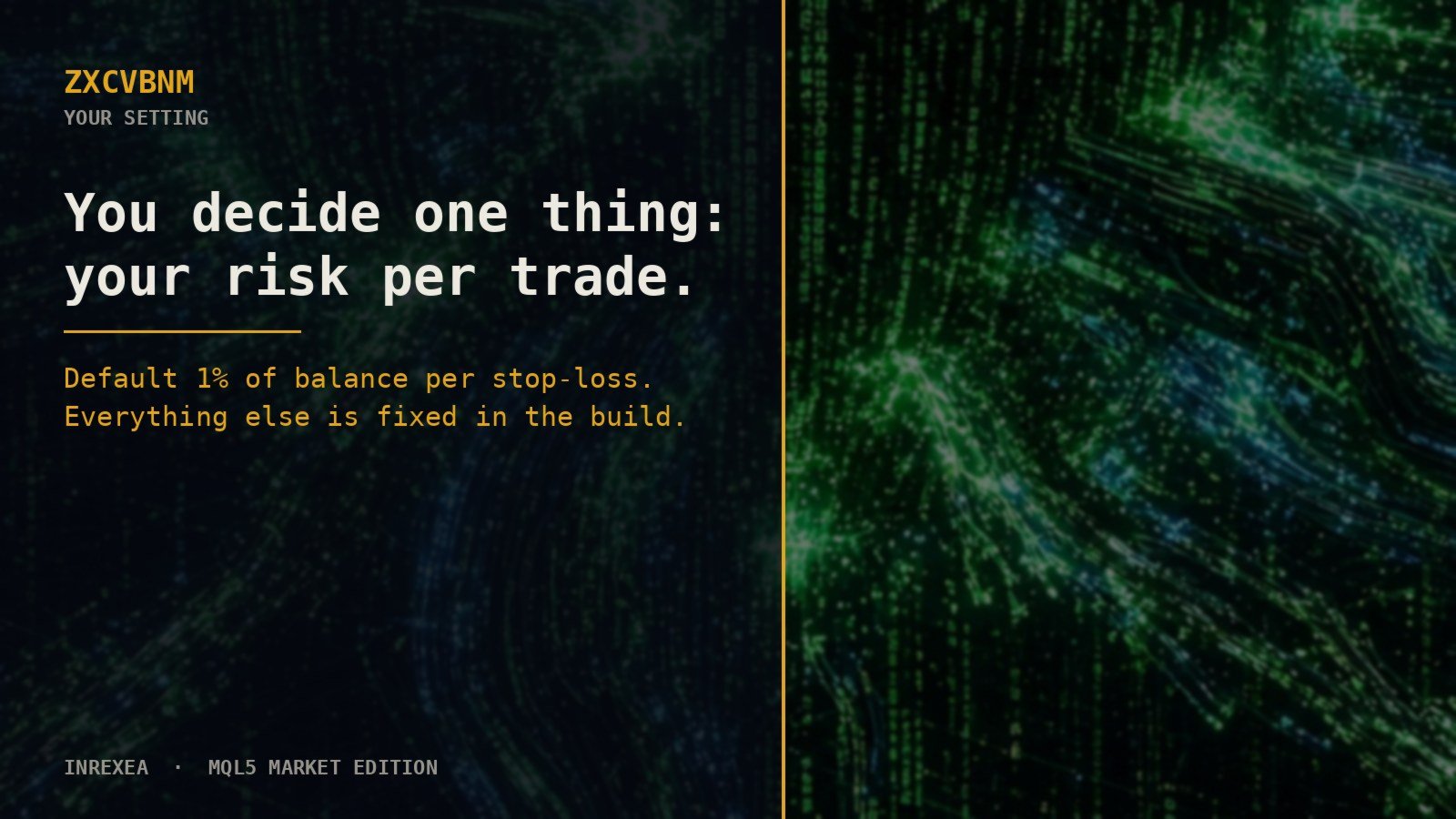 Developer illustration of risk per trade; the default is not an account-wide loss cap.