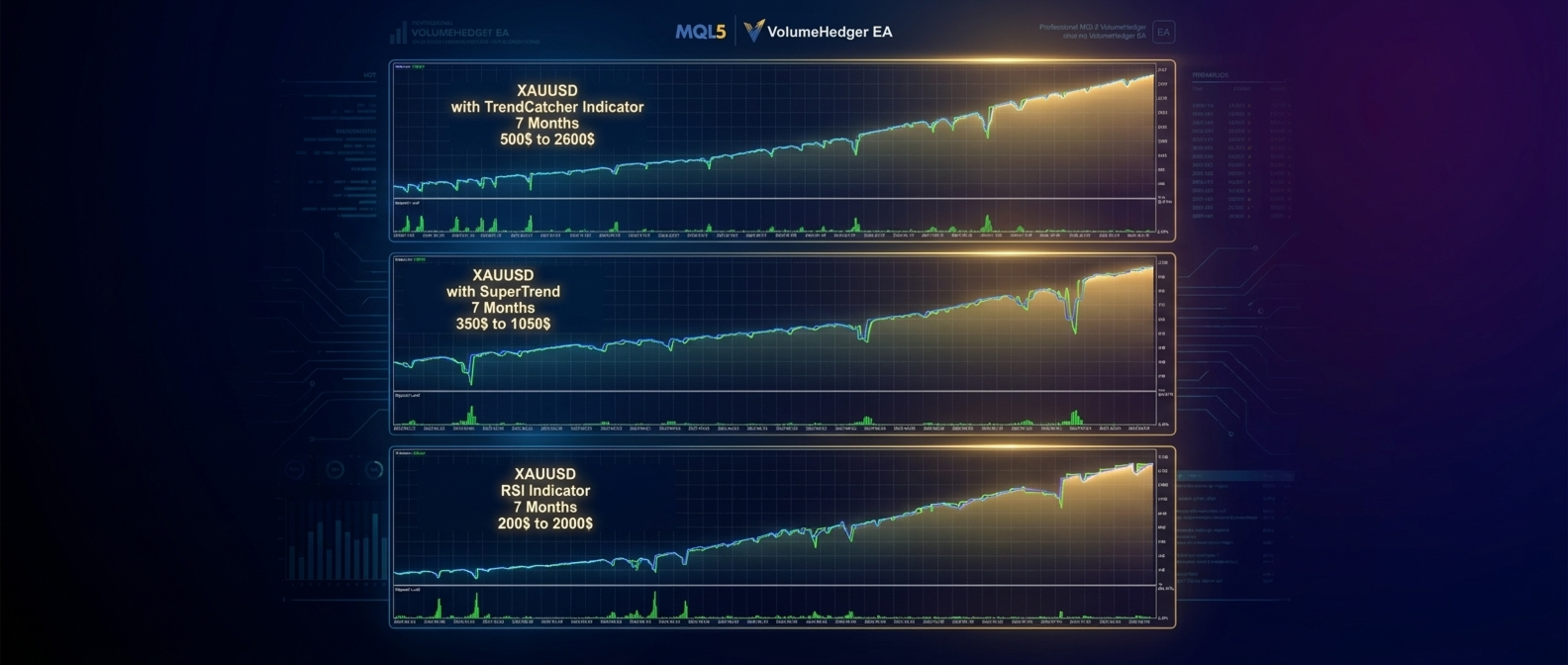 VolumeHedger silver strategy examples