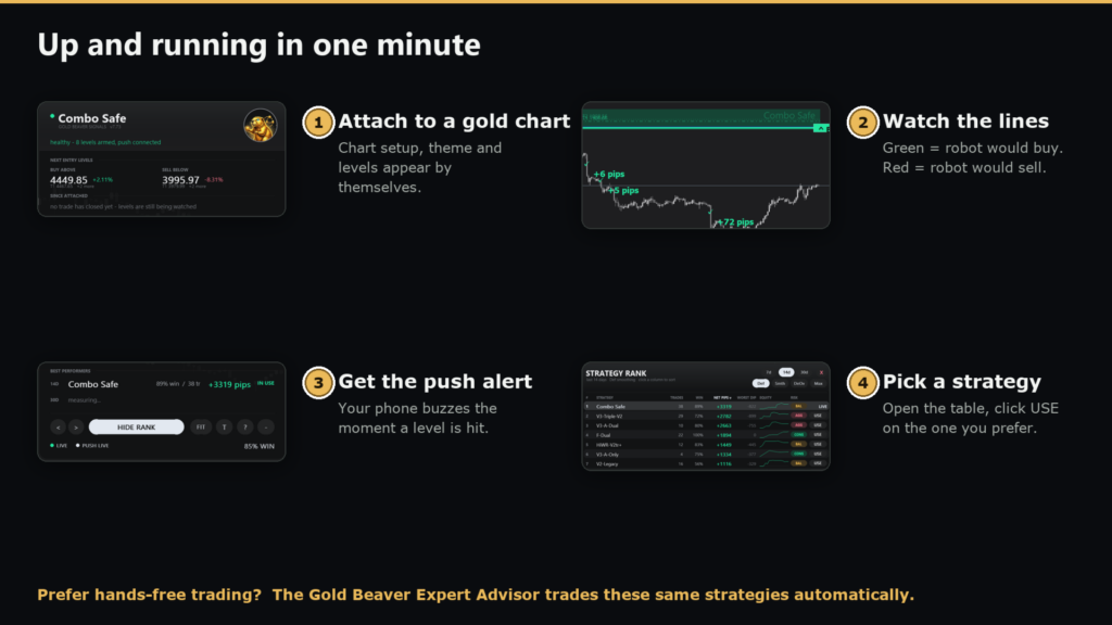 Gold Beaver Signals MT5 original chart and notification setup guide