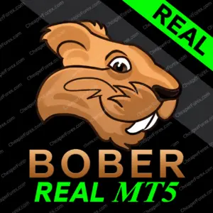 Bober Real EA MT5 promotional cover