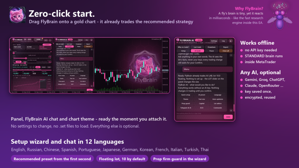 FlyBrain developer illustration of the chart panel, local setup menu and optional external AI services