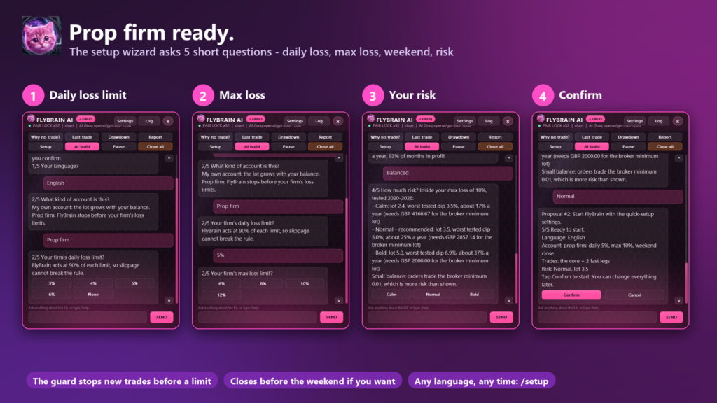 FlyBrain developer illustration of daily and maximum loss settings, risk choices and confirmation
